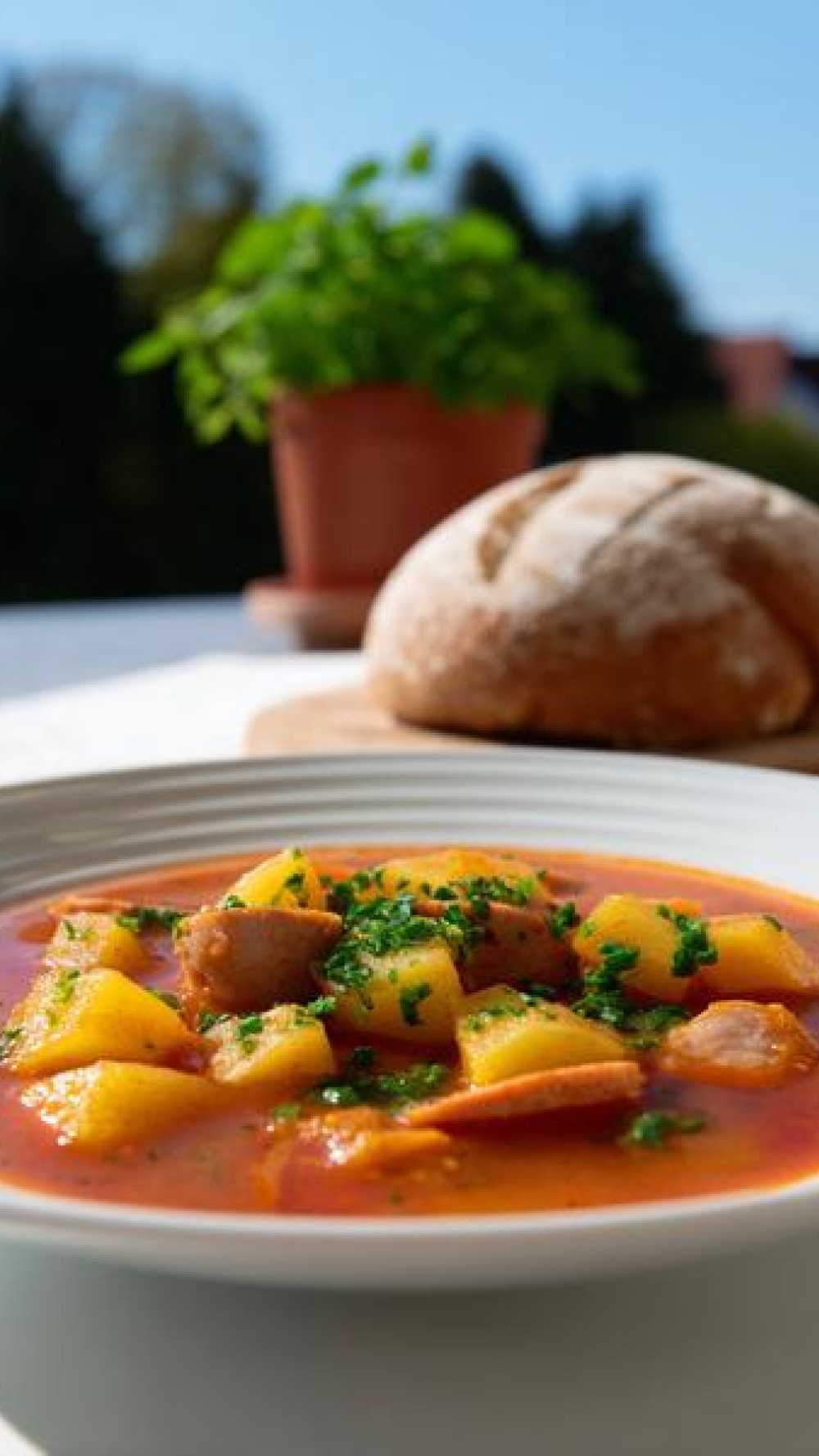 rezepte mit fleisch und kartoffeln - Rezepte Mit Kartoffeln Und Fleisch Schmortopf